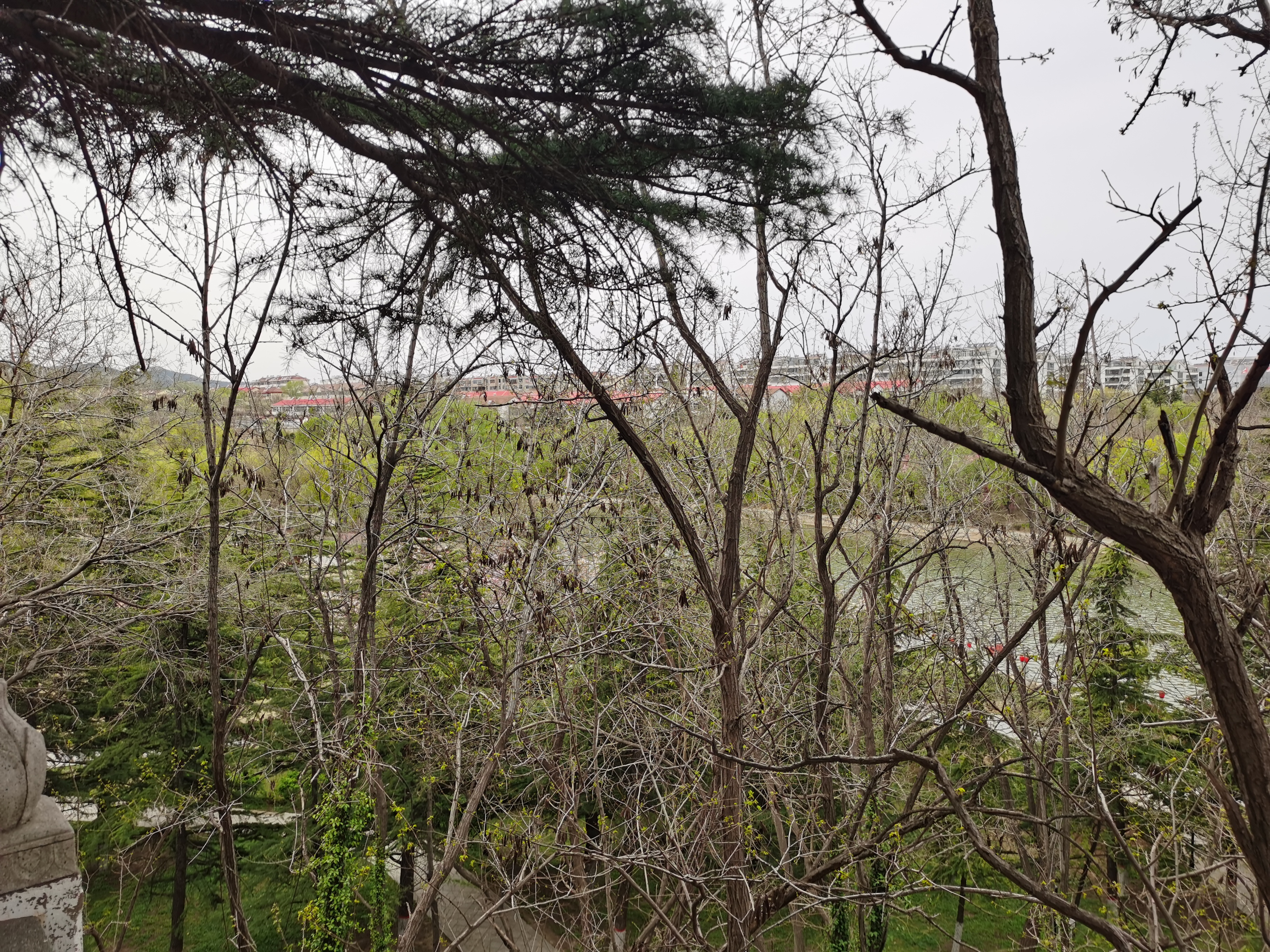 英雄归来最高礼遇抖音,英雄归来最高礼遇视频