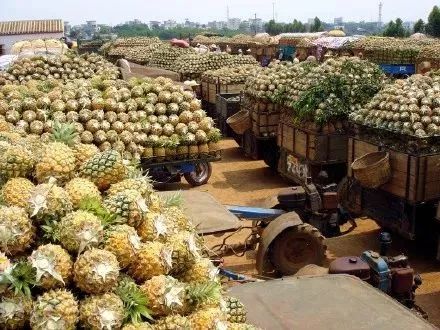 距海南仅20km，这个处女地比台湾风情、比三亚便宜，你错过了吗？