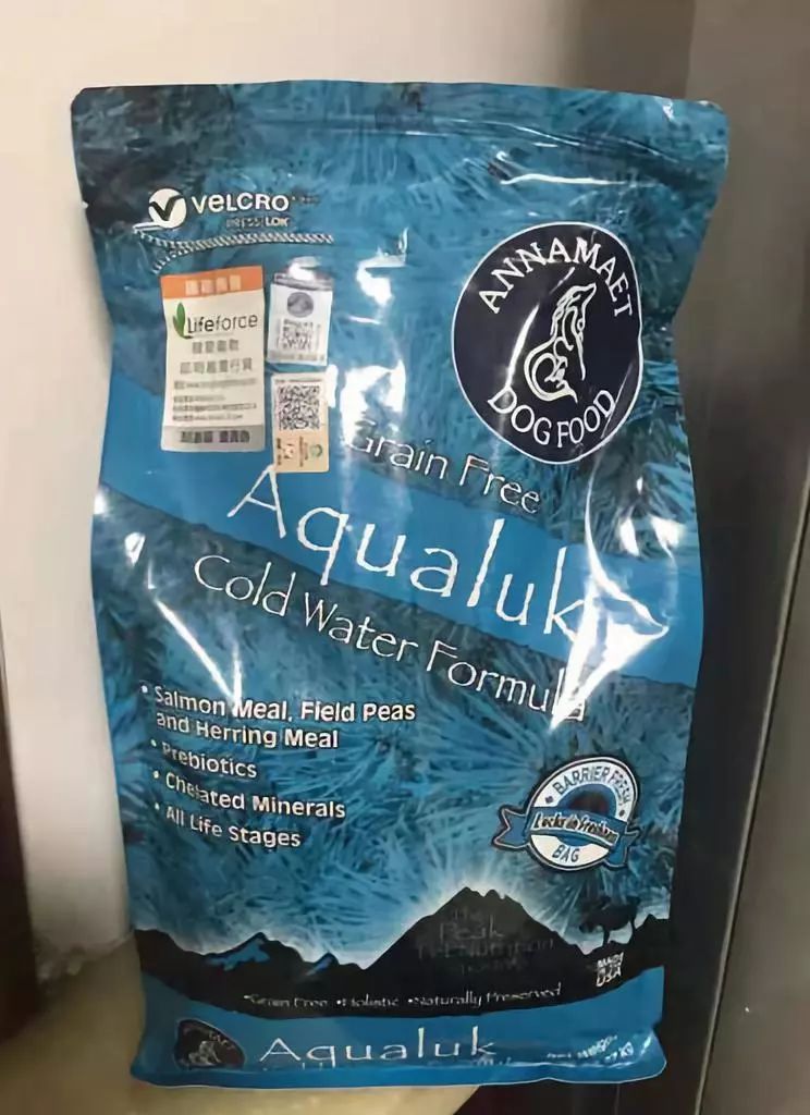 家有狗子,家有狗子视频完整版