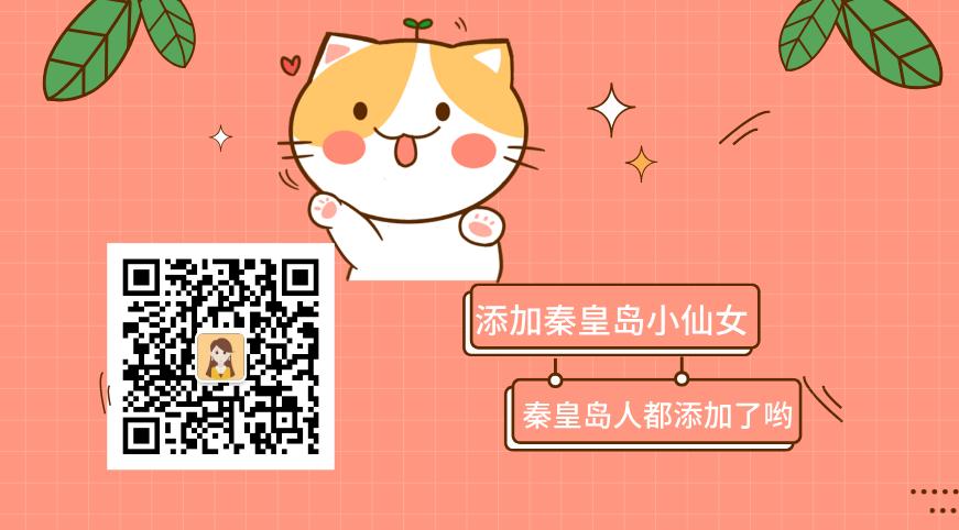 秦皇岛市海悦公馆坠楼事件,秦皇岛团结里坠楼事件