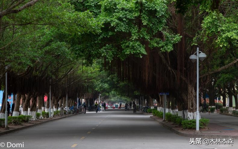 珠海两天一夜旅游景点,珠海港珠澳大桥观光一日游