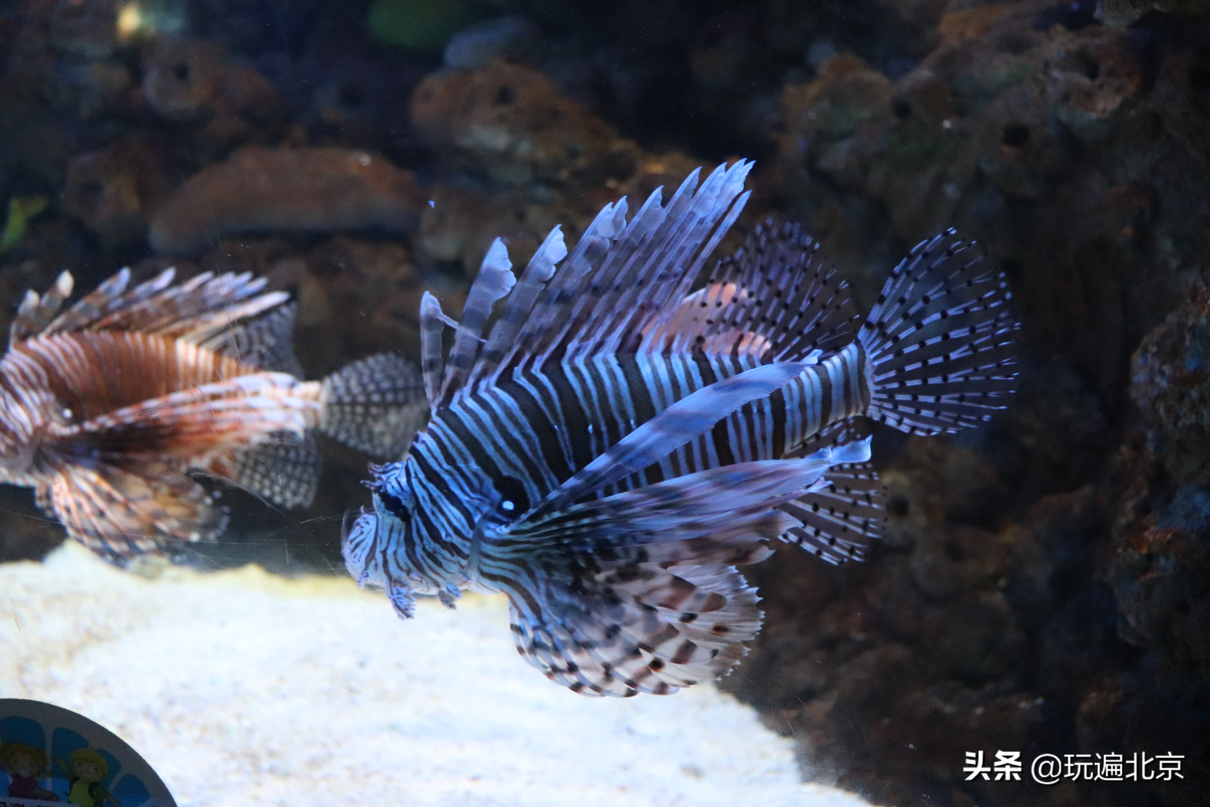 海洋世界海底探秘,海底世界都有哪些奥秘