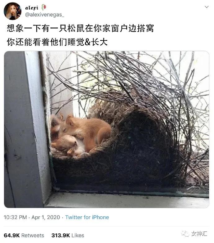 猫咪带回家后不解手,学会哪招才能让不听话的猫咪听话