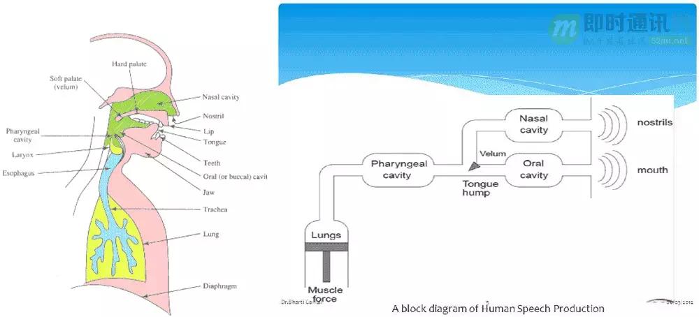 如何理解音频编解码,音频编解码器工作原理