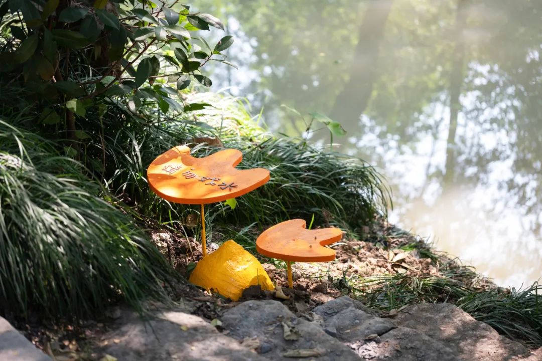 萌宠上阵，整个空间都奇趣了！