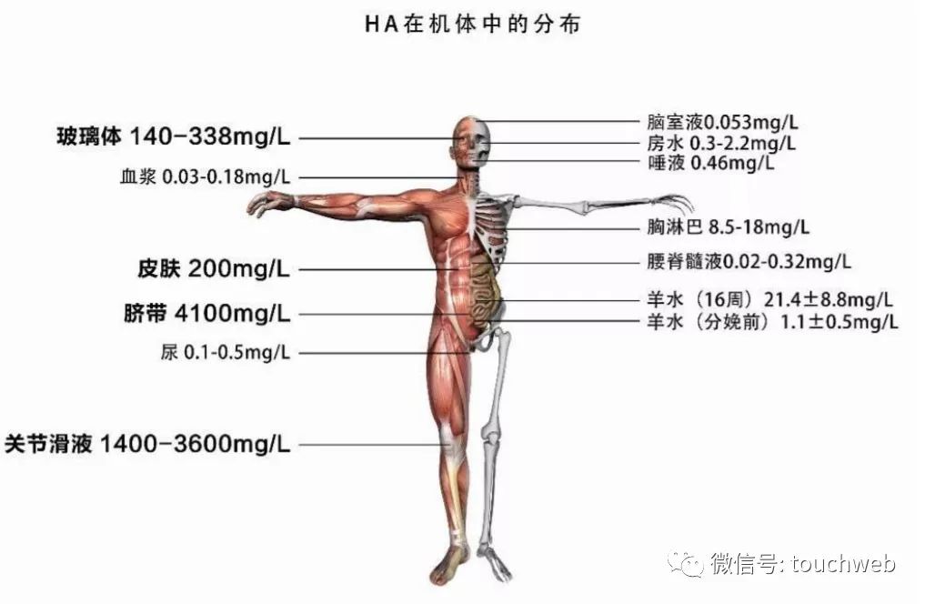 华熙生物是世界玻尿酸龙头吗,华熙生物科创板