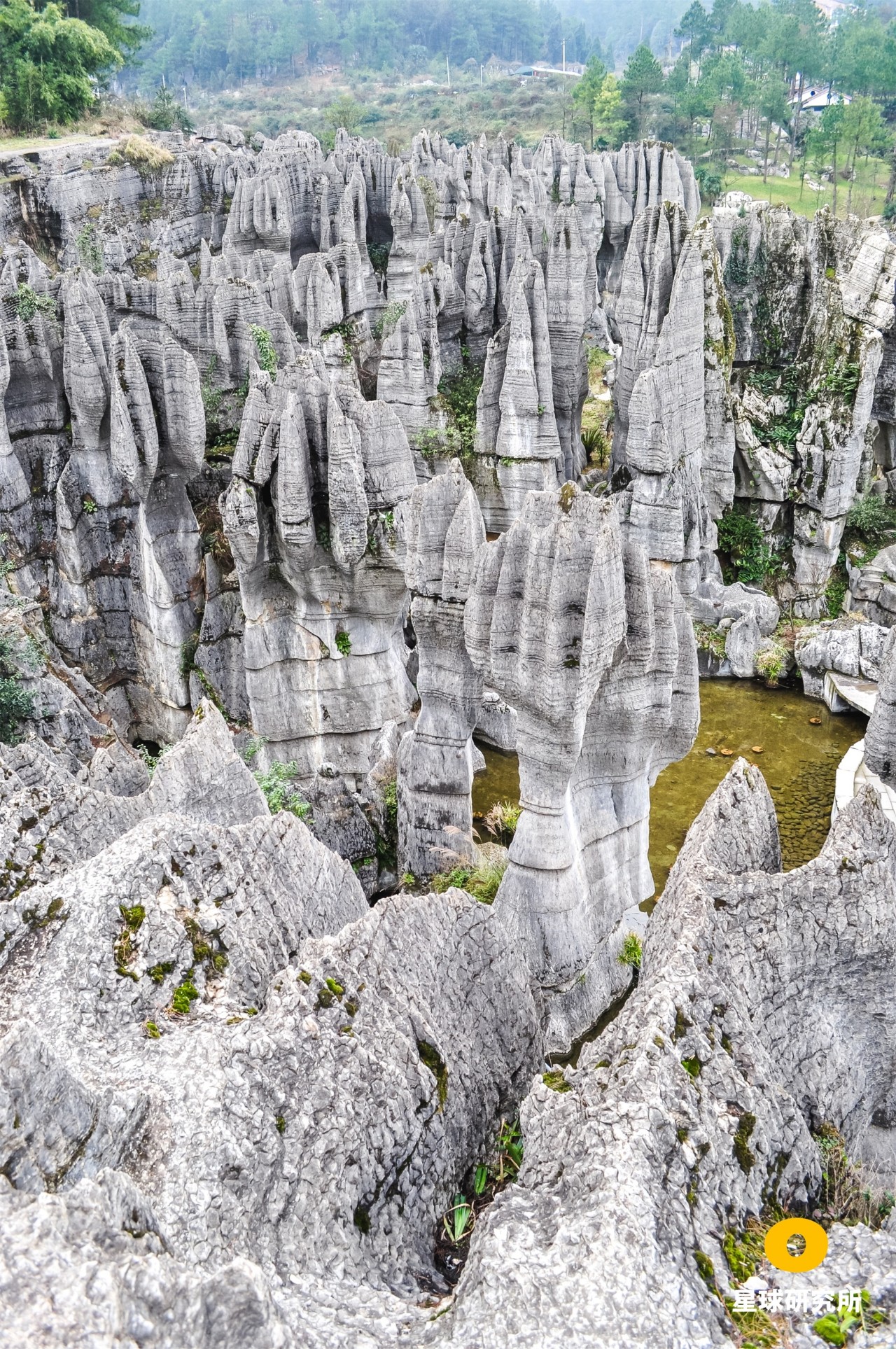 中国南方喀斯特的组成,中国南方喀斯特地貌原因
