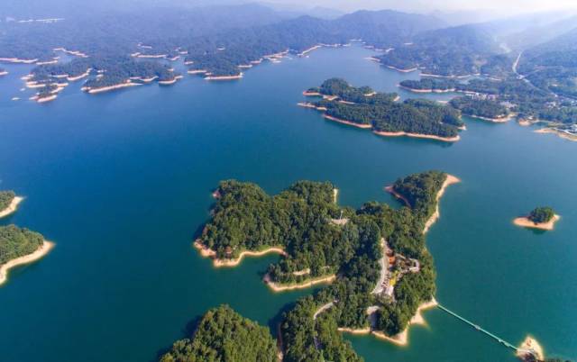 广州是什么味道的,广州味道的美食