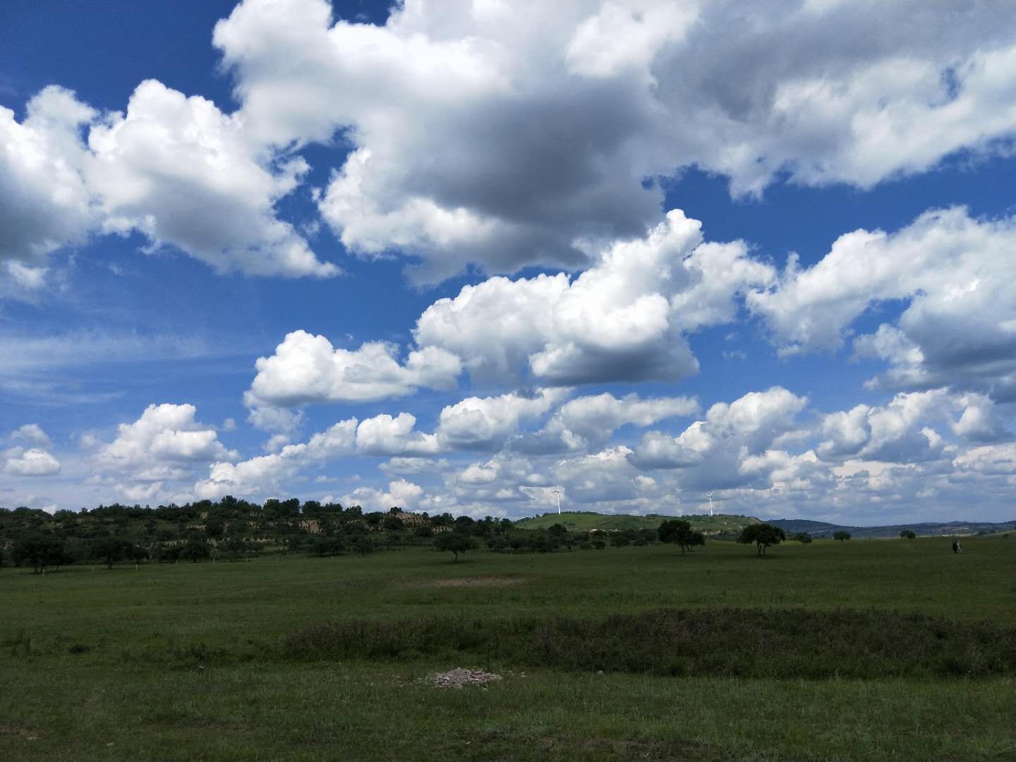 疫情期间如何出游,疫情期间怎样出去自驾游