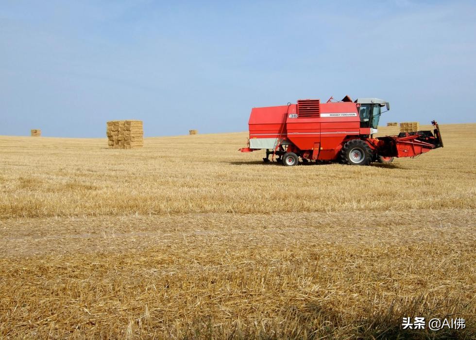 加拿大薪资高的行业有哪些,加拿大收入排名前十的职业