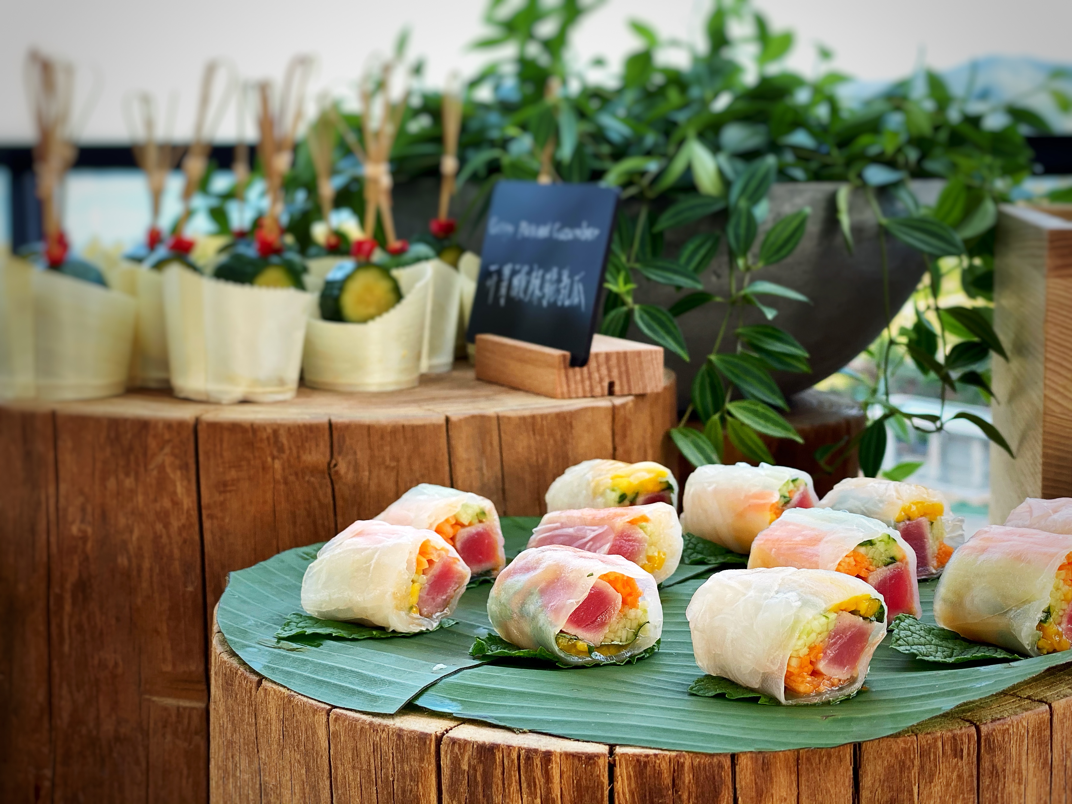 全球最适宜中国人去的海岛,中国可以度假的海岛