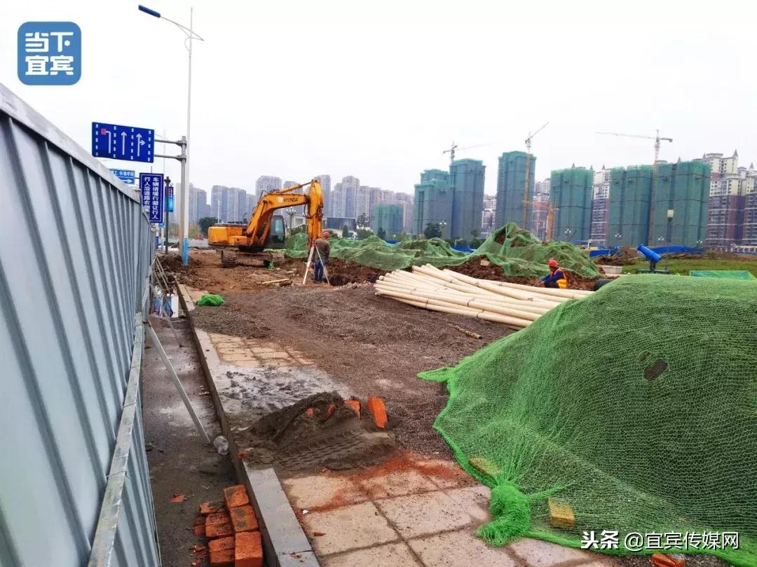 宜宾临港新增公园,宜宾白沙湖最新规划