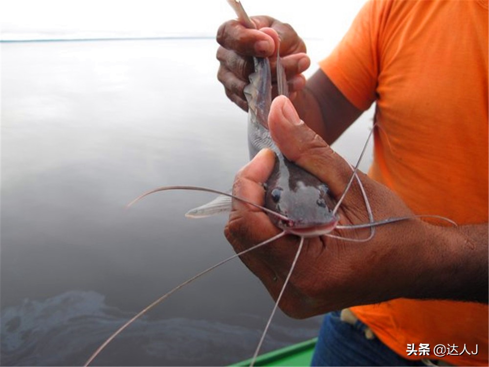 小天独家的全部视频,小天全国自驾