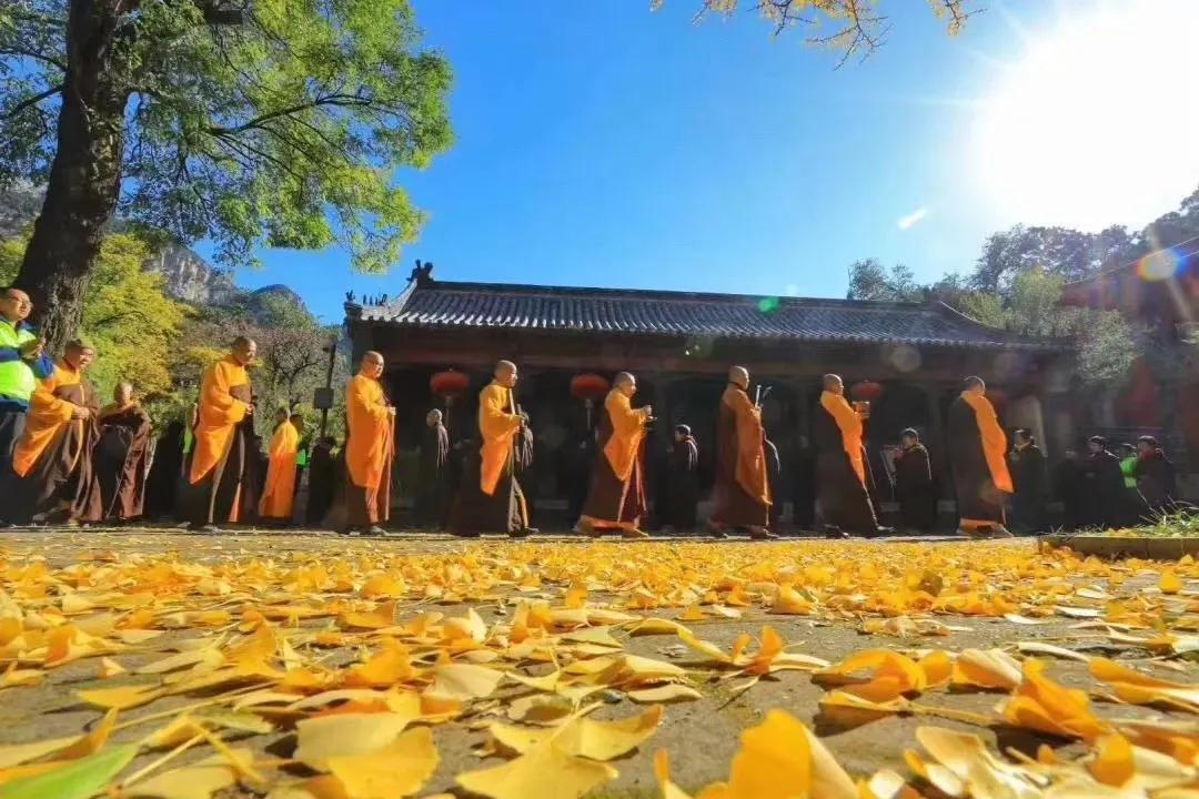 阿弥陀佛正确快速读法视频,南无阿弥陀佛正确的读法