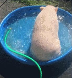 石泽研究所保湿洁面皂,石泽研究所毛孔抚子面膜要洗吗