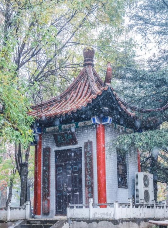 揭秘！北京“最国际范儿”大学之一：周总理关怀创办，创下多次全国第一！