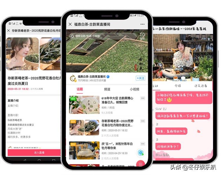 关于白茶的六大谣言,白茶过曝