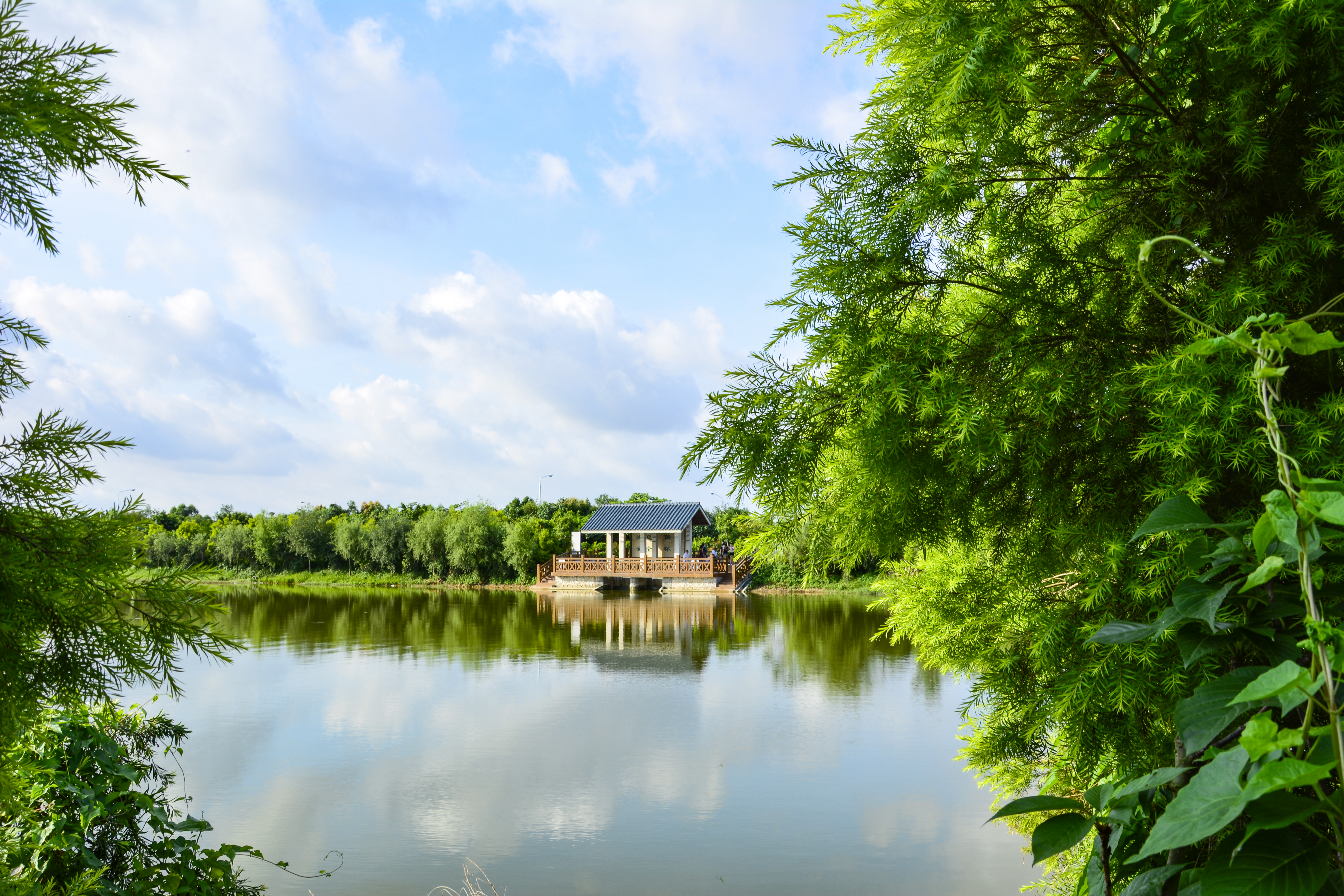 东莞农业园哪里好玩的,东莞生态农业园