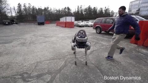 在买买买这件事上，谷歌说第二，没人敢称第一