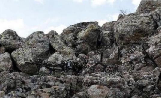 *击狙**手的伪装能力究竟有多强?很少有人能在3秒内全部发现的