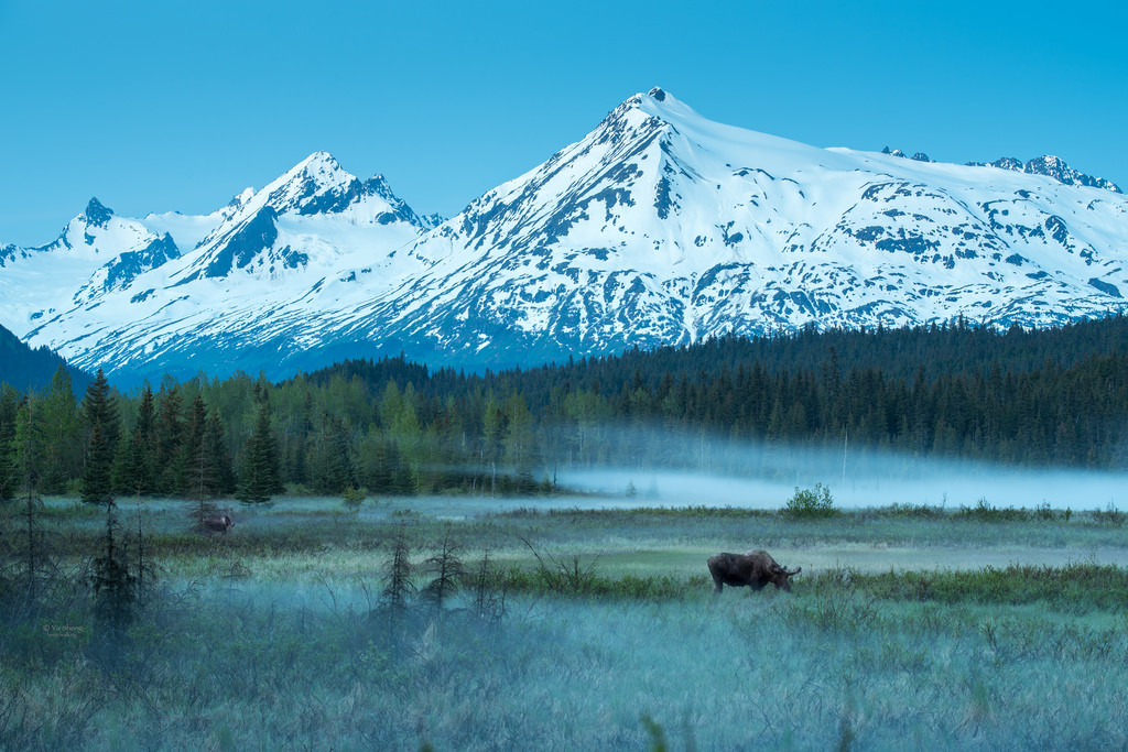美国用四千万美元，买了六百万平方公里土地，太划算了