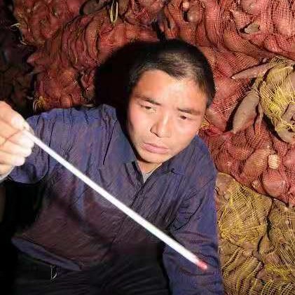 芋头烂了好吃,芋头烂了一点吃了有事情吗