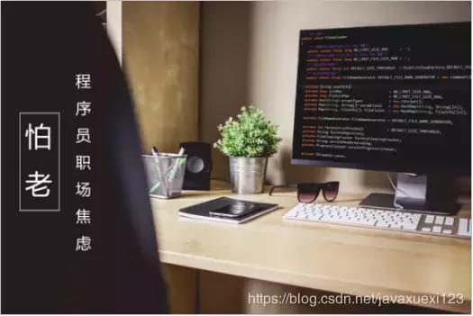 作为一个程序员我应该干点什么,当程序员八年