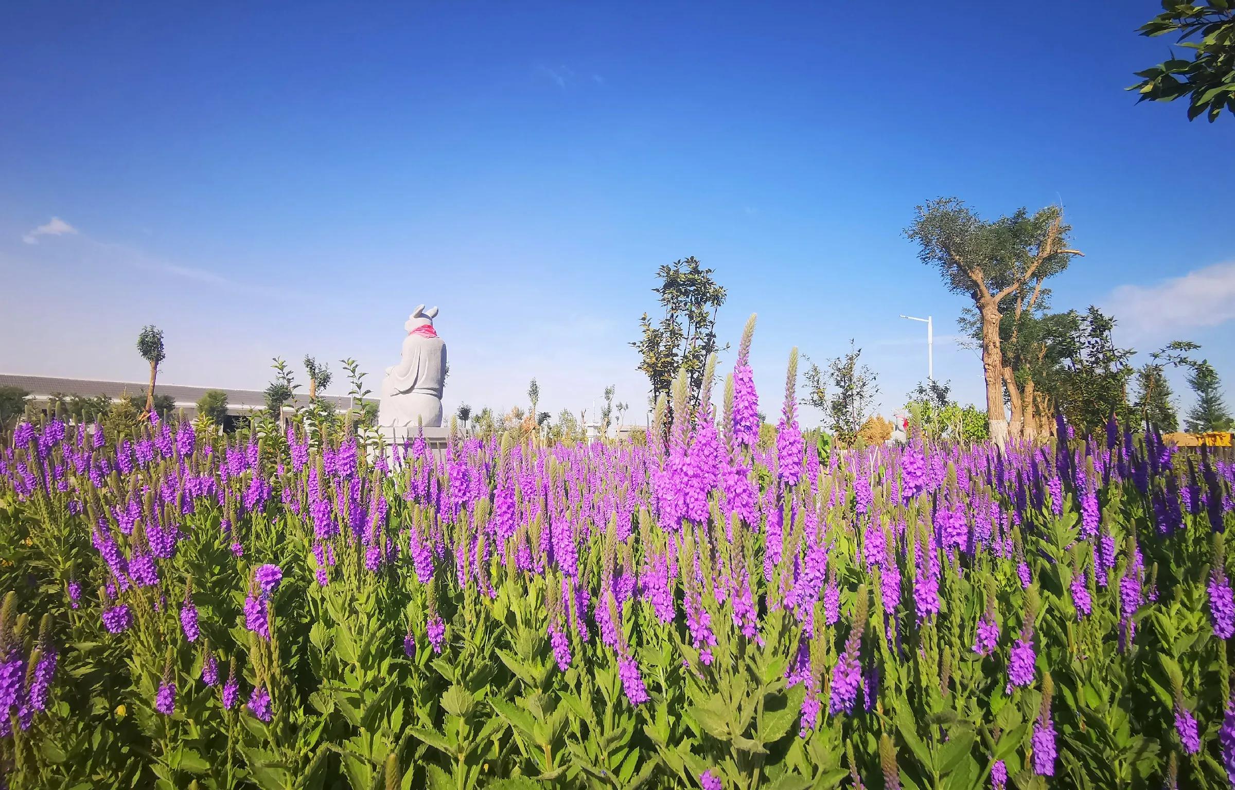 酒泉北山公墓祁连公墓,酒泉北山永恒生态园林公墓董事长