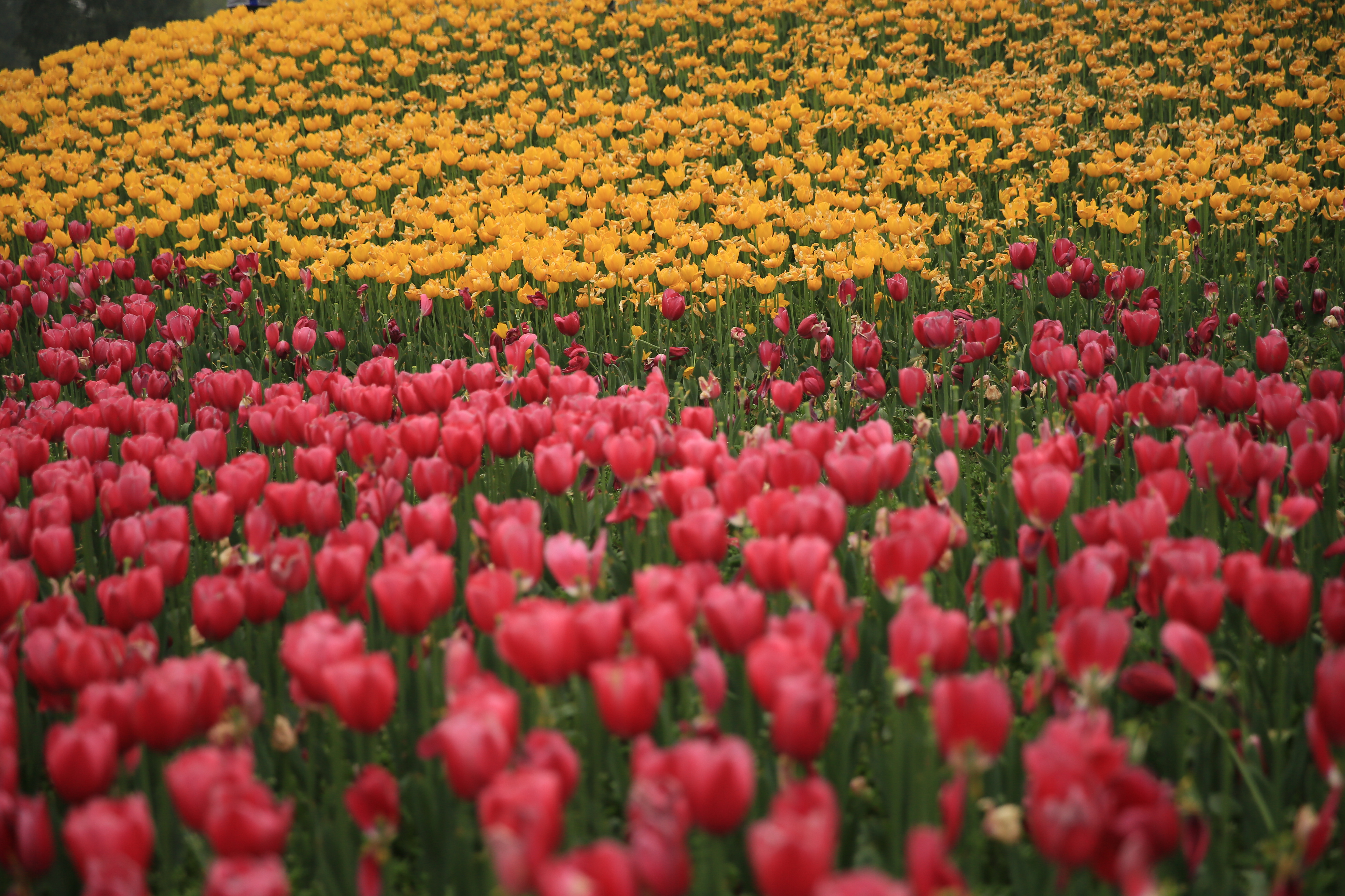 钂叉睙鐭宠薄婀栧ソ鐜╀笉,钂叉睙鐭宠薄婀栧ソ鑰嶅悧