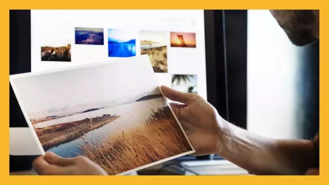 搜配图/找灵感，Mr.Otter一站式搞定！