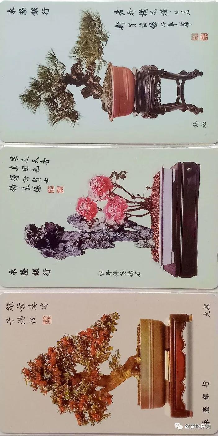 鐩嗘櫙鑱旂郴鐢佃瘽鍙风爜,涓鐩嗘櫙鑱旂郴鏂瑰紡