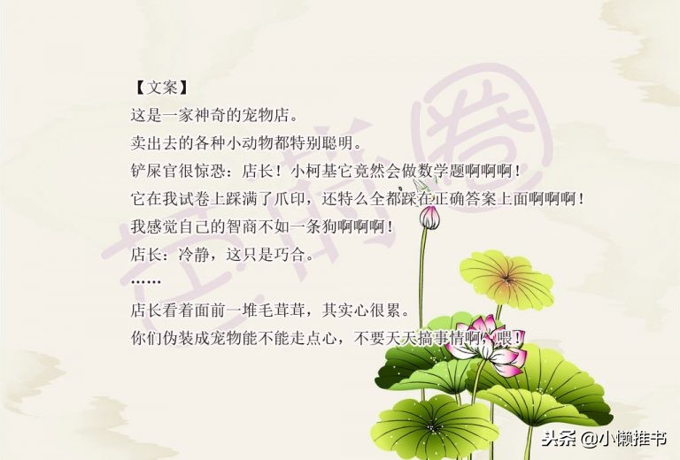 高糖甜文小说,发糖比较多的小说