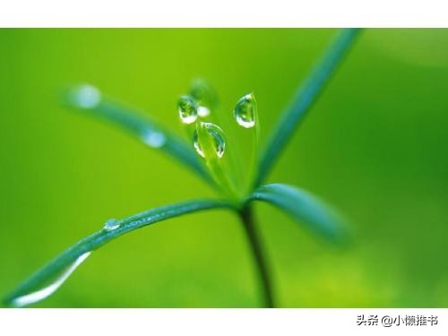 5本文笔上乘的纯古言小说推荐,5本高质量古言小说