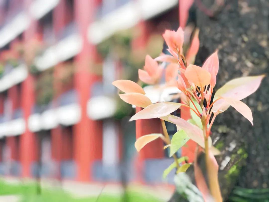 望城区的美景,望城的美景有哪些