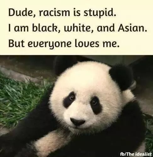 外国人到底有多喜欢外国人的熊猫,外国喜欢熊猫到什么程度