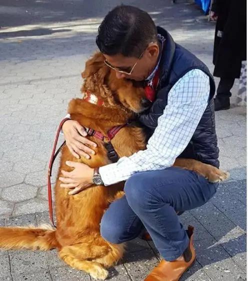 有了这个证,必要的时候可以救狗狗一命