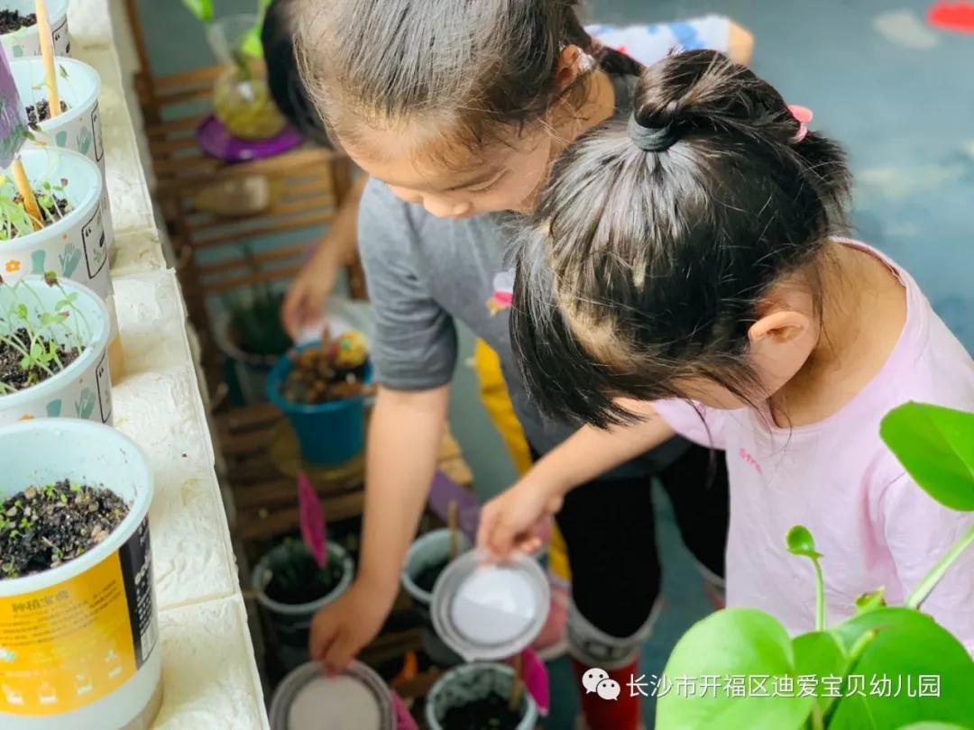 诺亚舟幼儿园,诺亚舟幼儿园里欢乐多