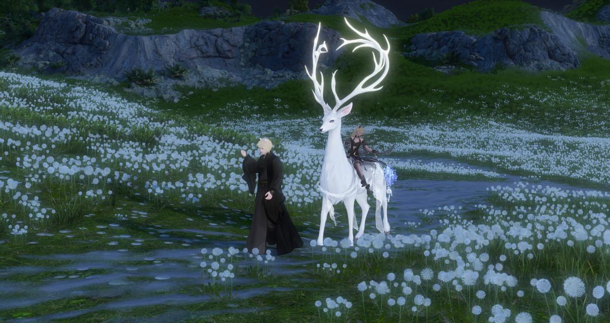 黑色沙漠2.84,黑色沙漠为什么不建议玩