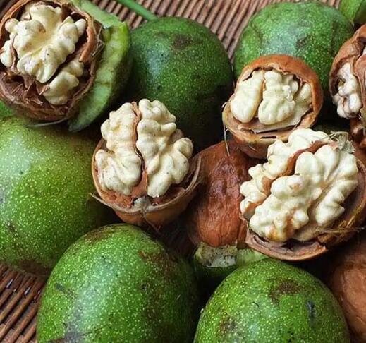 云南高山土特产新鲜去青皮湿核桃,云南生核桃鲜核桃