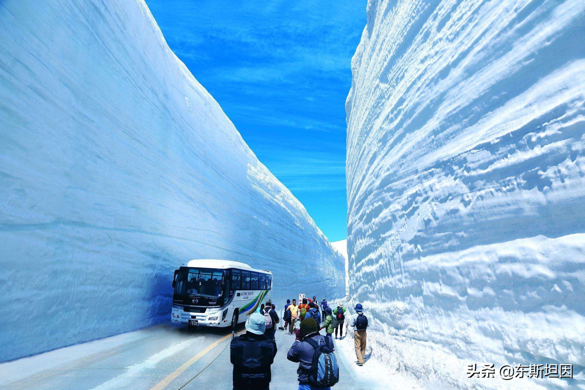 陆上自卫队雪地车 (日本军用雪地车)
