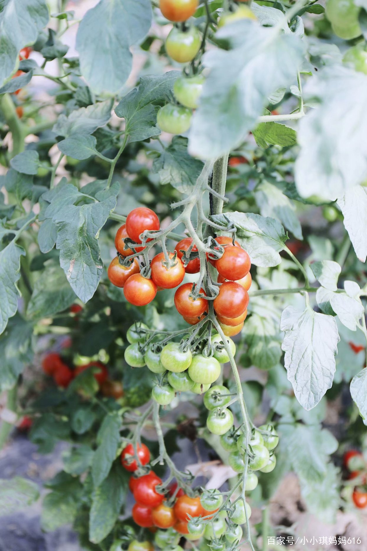 南京周边适合小众安静的旅行地,南京周边一天度假最好的地方