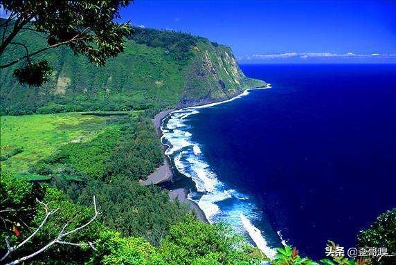 搬到夏威夷？这些是你应该知道的！