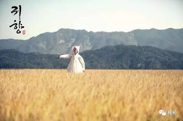 鬼乡在哪儿,鬼乡归乡