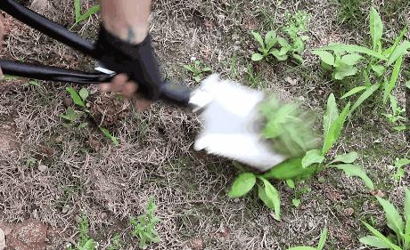 小米大黄蜂车,小米大黄蜂