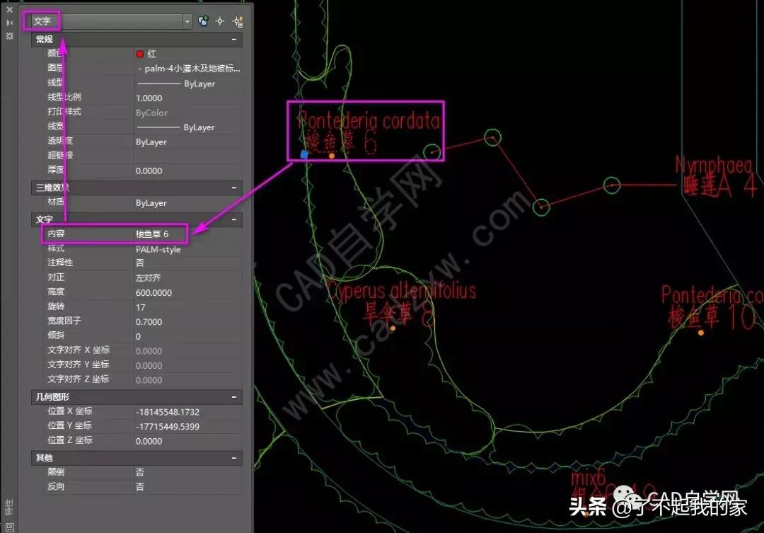 cad统计苗木数量,cad统计苗木数量快捷键