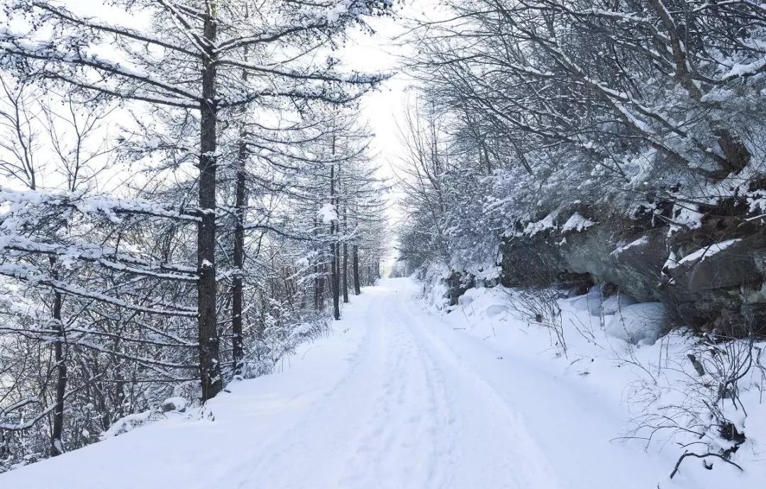 西安冬季周边一日游的绝佳去处,西安冬天适合带孩子玩的地方
