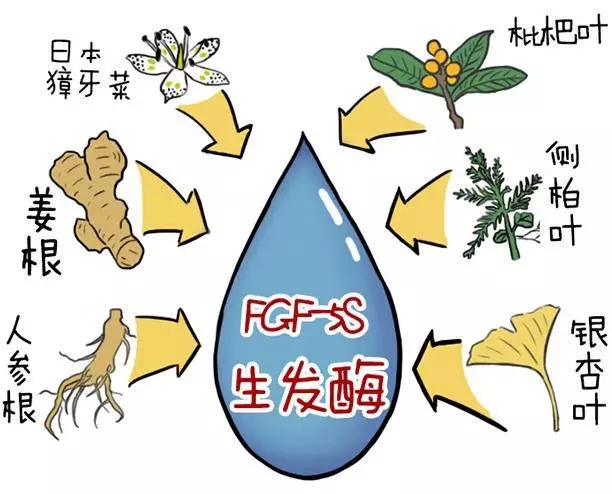 头发也有寿命限制吗,头发也会有生长期脱落期吗