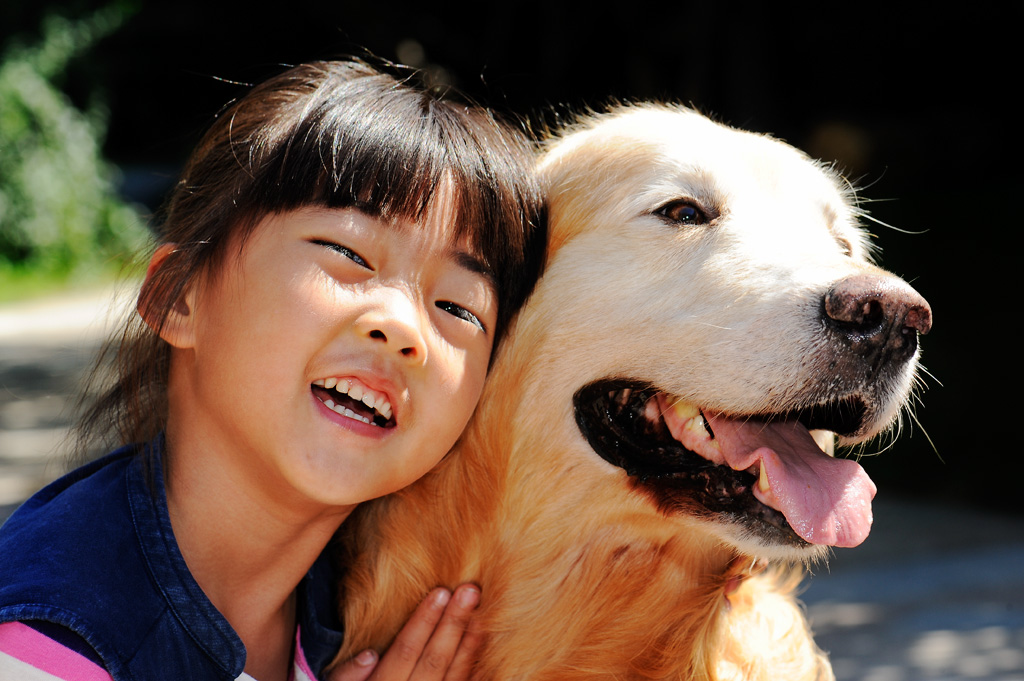 狗狗呕吐怎么办铲屎官看过来,养宠知识狗狗呕吐了怎么办