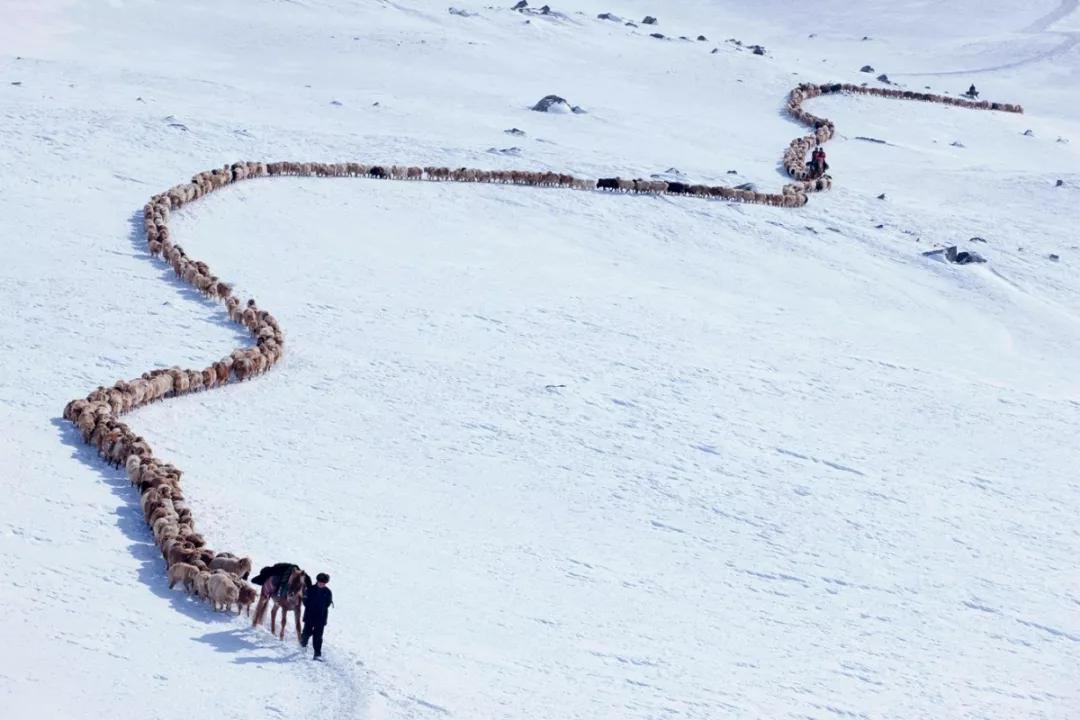 特克斯旅游景区有哪些,特克斯光影嘉年华