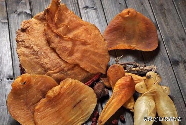 顶级鱼胶为什么那么贵,为什么鱼胶要那么贵